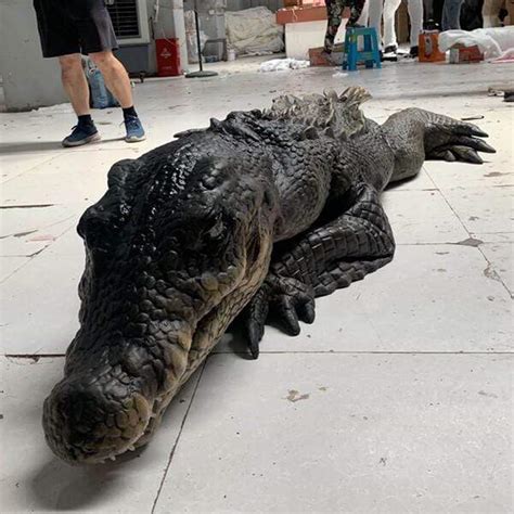 realistic alligator costume